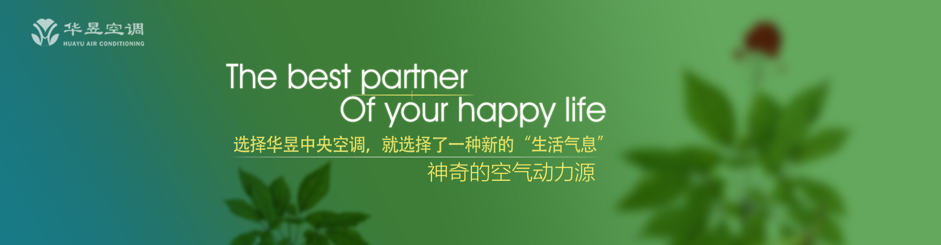 干柴烈火网